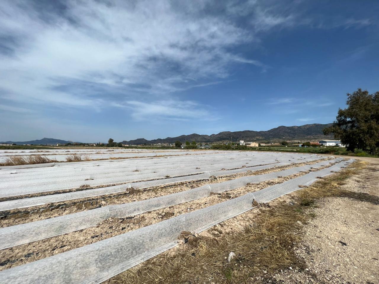 Terreno en venta en La Hoya-Almendricos-Purias